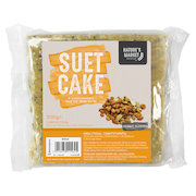 Suet Cake with Insect